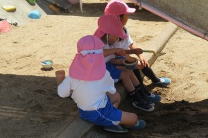 IMG_8484