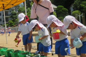 IMG_8995