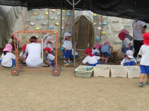 IMG_9053
