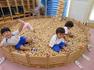 IMG_0905