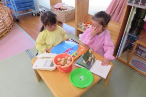 IMG_8762